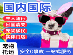 营口空运代理国际宠物托运 【国